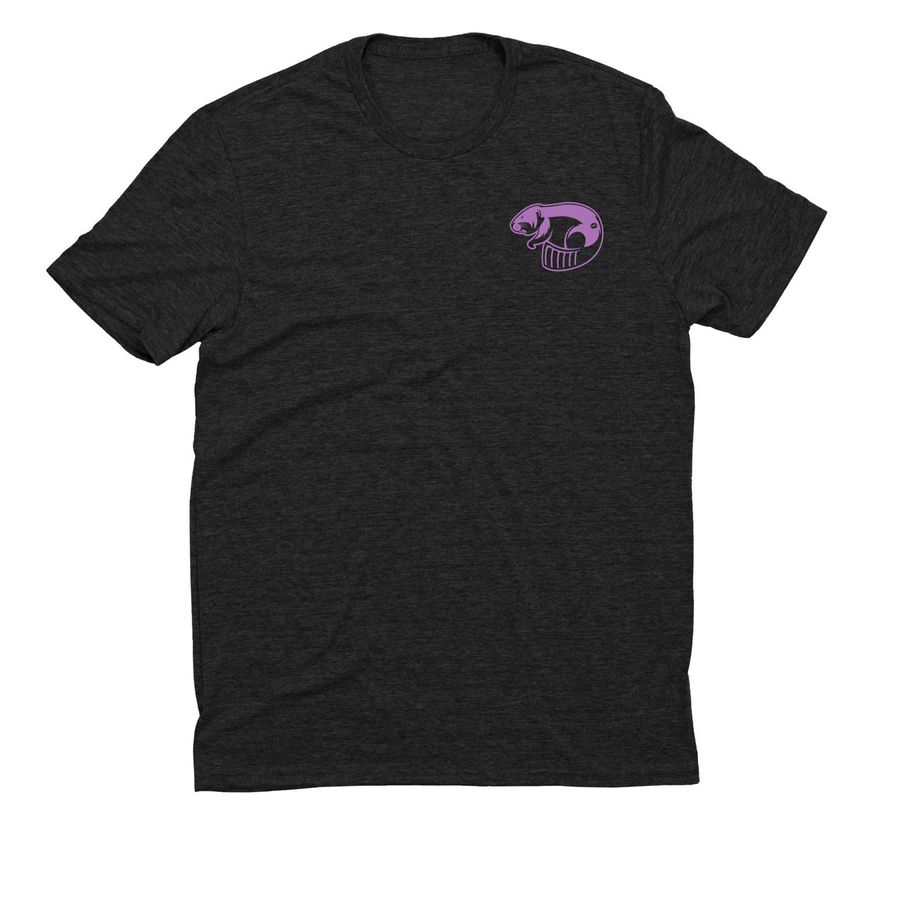 Celebrating Celine, a Space Black Allmade Eco Triblend Unisex Tee