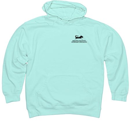 small, a Mint Midweight Pullover Hoodie (back-view)