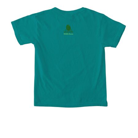 Kids Critters, a Seafoam Comfort Colors Youth Tee (back-view)
