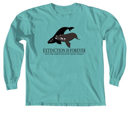 Save the North Atlantic Right Whales, a Seafoam Comfort Colors Long Sleeve Tee