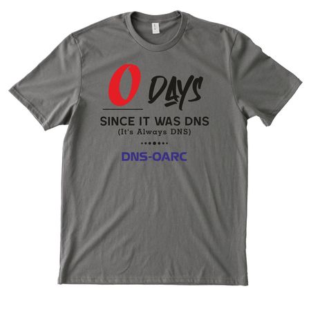 20th Anniversary DNS-OARC&nbsp;, a Ash Grey Allmade Heavyweight Recycled Cotton Tee