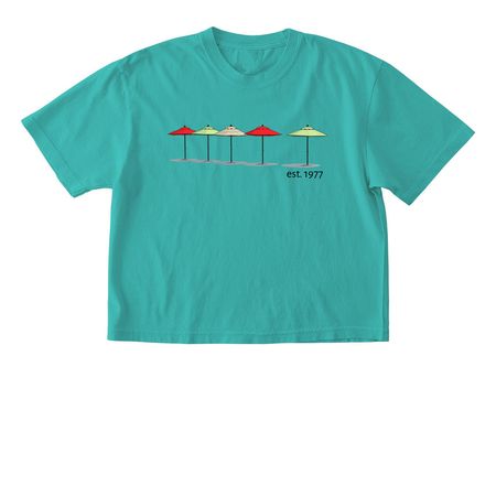 50th Reunion Shirt Without Text on Back, a Chalky Mint Comfort Colors Boxy Tee
