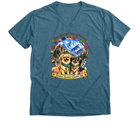 Tibbies Worldwide, a Heather Deep Teal Premium V-Neck Tee