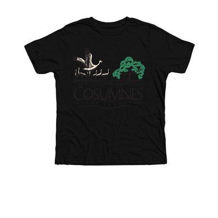 Cosumnes River Preserve, a Solid Black Blend Premium Youth Tee