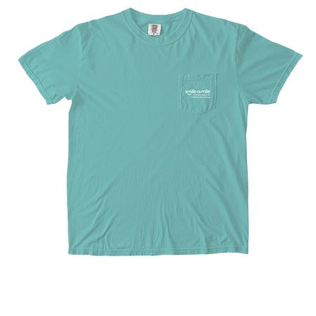 SAM Place Pocket Tee, a Chalky Mint Comfort Colors Pocket Tee (back-view)