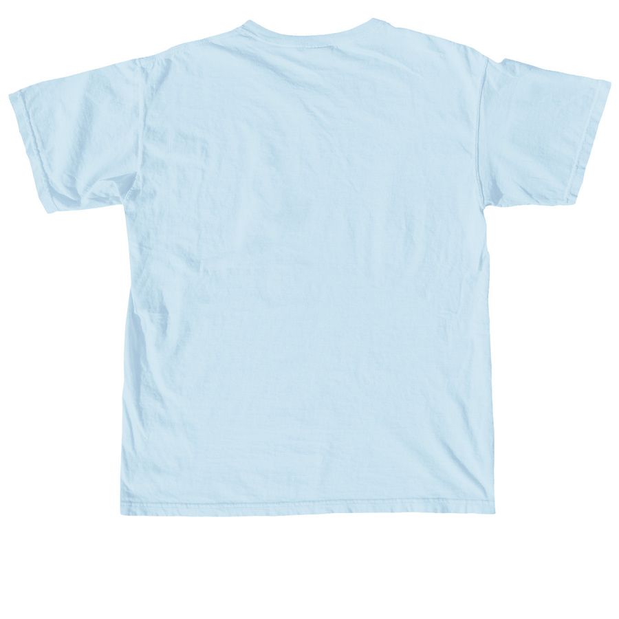 FCF x Tara Reid Collaboration Front Design, a Chambray Comfort Colors Unisex Tee (back-view)