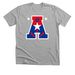 Alameda 10U All-Stars Merch, a Athletic Heather Premium Unisex Tee