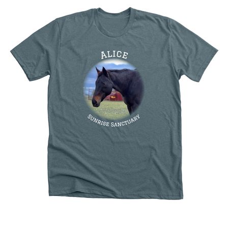 Alice front & center, a Heather Slate Premium Unisex Tee