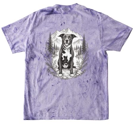 PMFAS Diva Shirts&nbsp;, a Amethyst Comfort Colors Colorblast Tee (back-view)