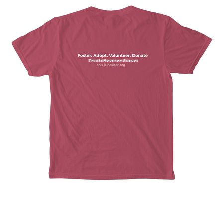 Take Action Pocket Tee, a Crimson Comfort Colors Pocket Tee