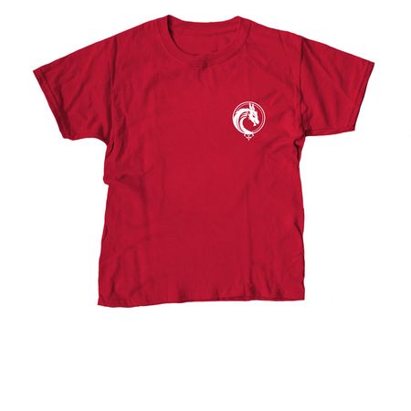 The Red Dragon, a Red Youth Unisex Tee
