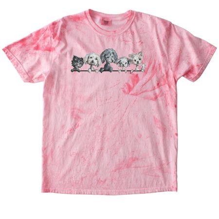 Pack of Pipsqueaks, a Hibiscus Comfort Colors Colorblast Tee