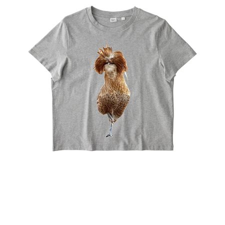 Cacophonix Eco Line, a Cool Heather Grey Stanley/Stella Women?s Stella Muser Tee