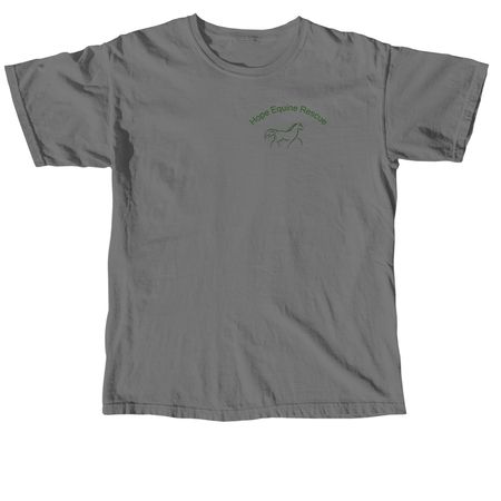 2026 Shirt Design, a Grey Comfort Colors Unisex Tee