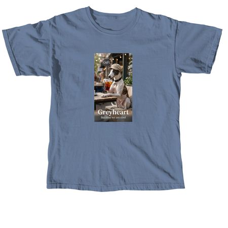 we are cool!, a Blue Jean Comfort Colors Unisex Tee
