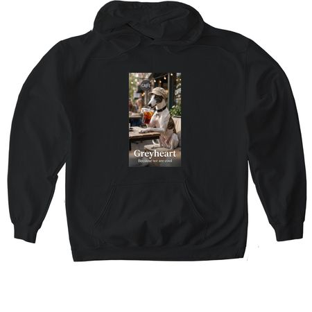 we are cool!, a Black Gildan Softstyle Pullover Hoodie