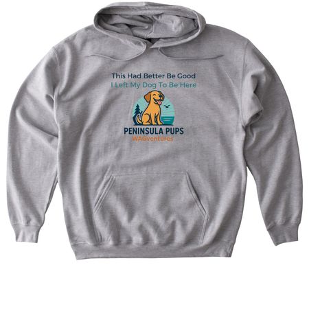 This Had Better Be Good, a Sport Grey Gildan Softstyle Pullover Hoodie