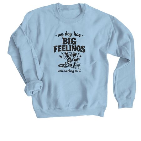 Big Feelings, a Light Blue Crewneck Sweatshirt