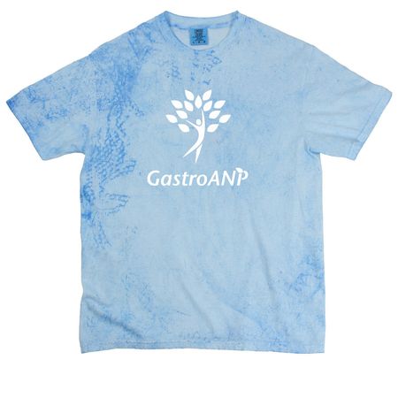 Logo Shirt/Sweatshirt, a Fiji Blue Comfort Colors Colorblast Tee