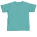 A voice, an advocate Shirt, a Seafoam Comfort Colors Unisex Tee (back-view)