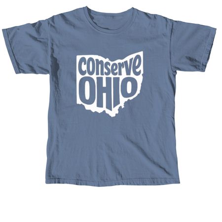 The Billboard, a Blue Jean Comfort Colors Unisex Tee