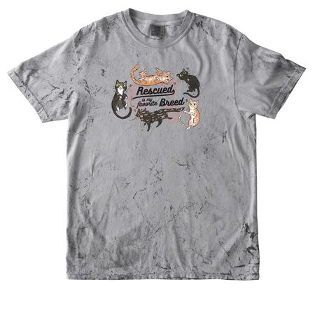Stray Cat Alliance - Rescued, a Smoke Comfort Colors Colorblast Tee