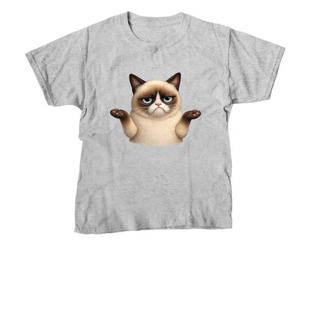 Shrug, a Sport Grey Youth Unisex Tee