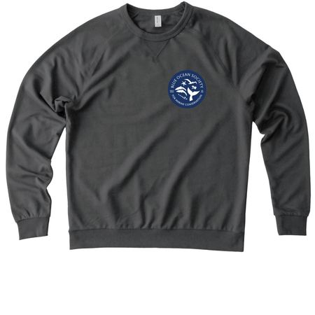 New Logo Apparel, a Terrain Grey Allmade Organic French Terry Crewneck Sweatshirt