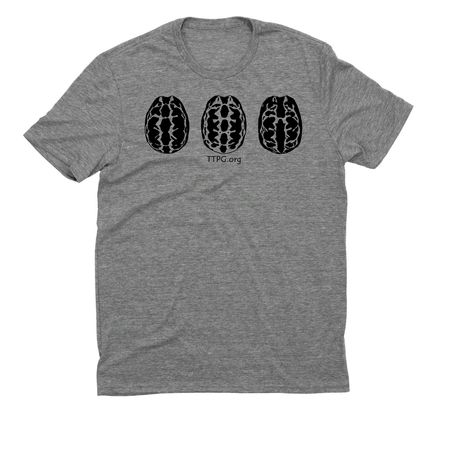 Spider Tortoises, a Aluminum Grey Allmade Eco Triblend Unisex Tee