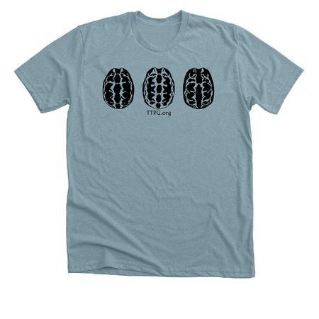 Spider Tortoises, a Heather Blue Lagoon Premium Unisex Tee
