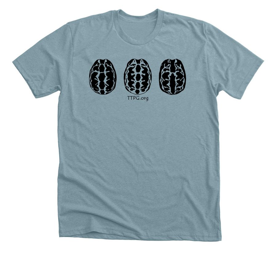 Spider Tortoises, a Heather Blue Lagoon Premium Unisex Tee