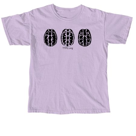 Spider Tortoises, a Orchid Comfort Colors Unisex Tee