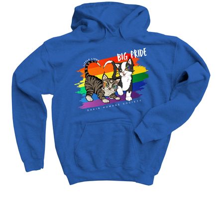 Little Lions - BIG PRIDE, a Royal Blue Youth Pullover Hoodie