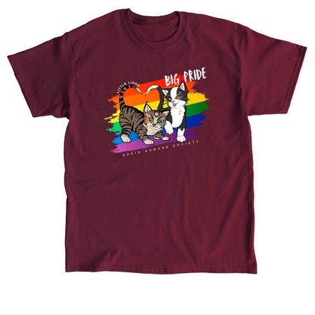 Little Lions - BIG PRIDE, a Maroon Classic Unisex Tee