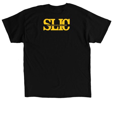 Keep Skating Weird Tee, a Black Classic Unisex Tee (back-view)