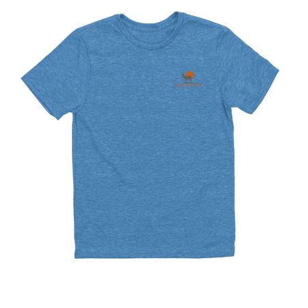 Mockingbird and Prickly Pear, a Azure Blue Allmade Youth Eco Triblend Tee