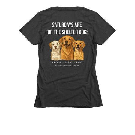 Shelter Dog Saturday Tee- 2025 Edition, a Charcoal Women's Slim Fit Tee