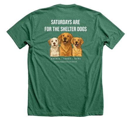 Shelter Dog Saturday Tee- 2025 Edition, a Heather Grass Green Premium Unisex Tee