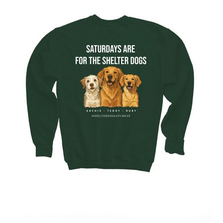 Shelter Dog Saturday Tee- 2025 Edition, a Forest Green Youth Crewneck Sweatshirt