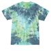 2026 SSPSNJ Fall For Shelties, a Planet Earth Colorburst Crystal Tie Dye Tee (back-view)