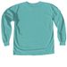 Collective Strength Winter Vintage, a Seafoam Comfort Colors Long Sleeve Tee (back-view)
