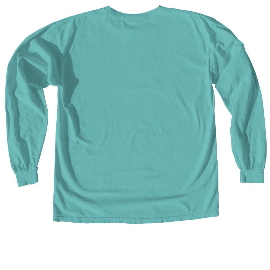 Collective Strength Winter Vintage, a Seafoam Comfort Colors Long Sleeve Tee (back-view)