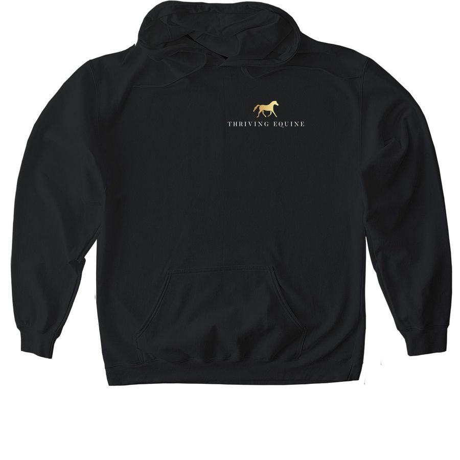 Winter gear, a Black Gildan Softstyle Pullover Hoodie