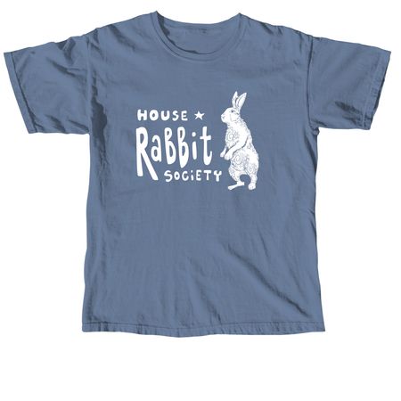 HRS Whimsical Rabbit, a Blue Jean Comfort Colors Unisex Tee