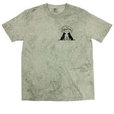 TLD Summer 26', a Fern Comfort Colors Colorblast Tee