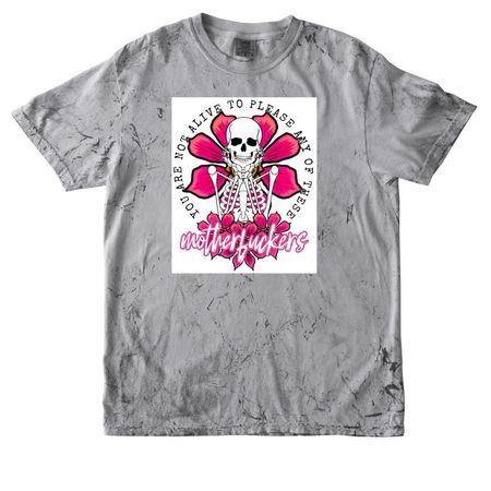 Not here to please, a Smoke Comfort Colors Colorblast Tee