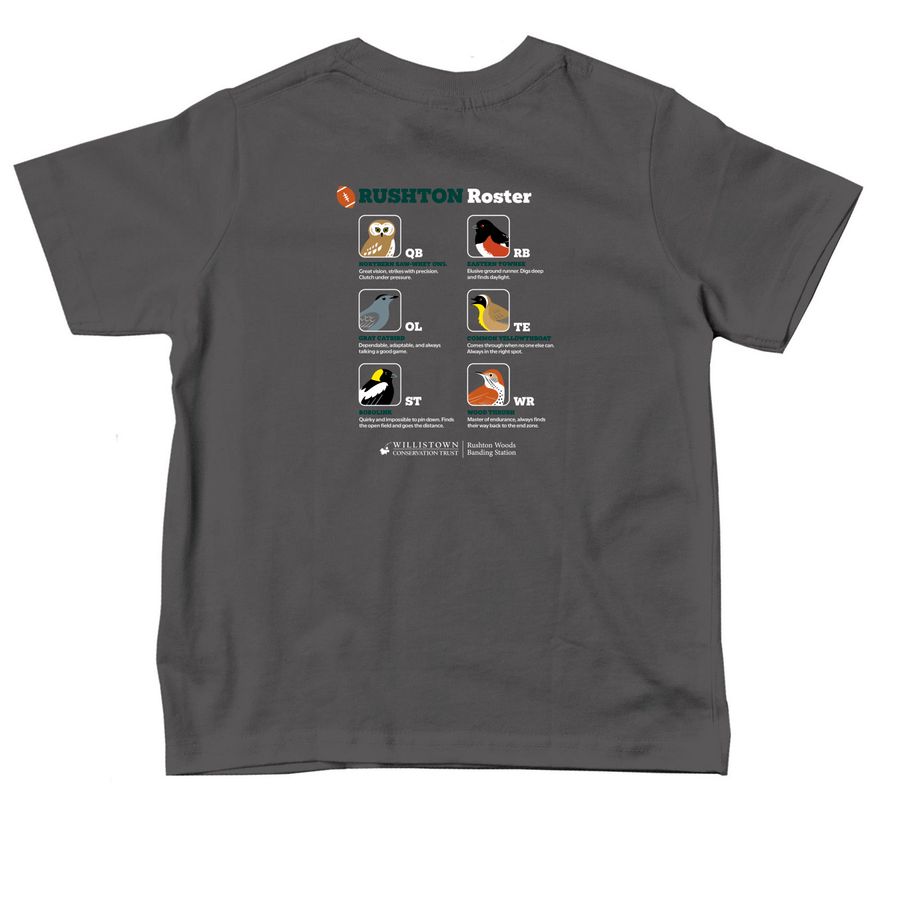 Go Birds-Toddler_Green 1, a Charcoal Toddler Tee (back-view)