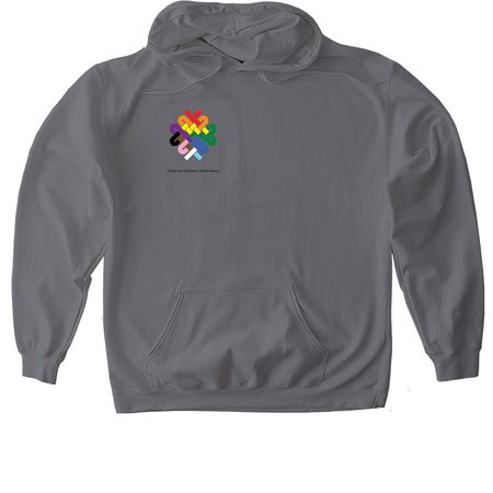 CCYJ Pride Shirt, a Charcoal Gildan Softstyle Pullover Hoodie