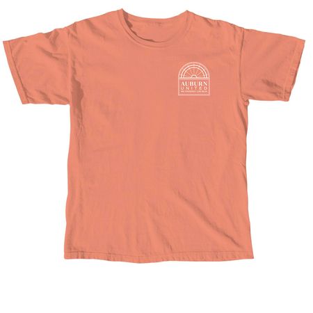 AUMC Shirt, a Terracotta Comfort Colors Unisex Tee