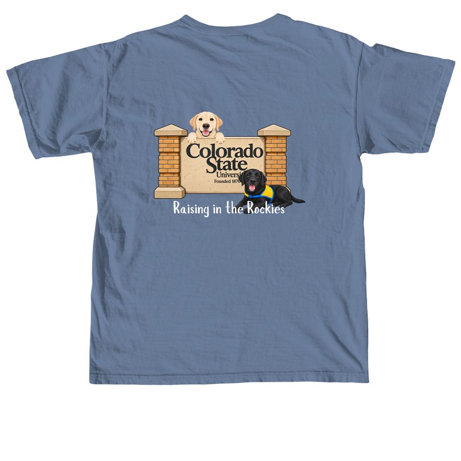 26-27 Merch Line, a Blue Jean Comfort Colors Unisex Tee (back-view)
